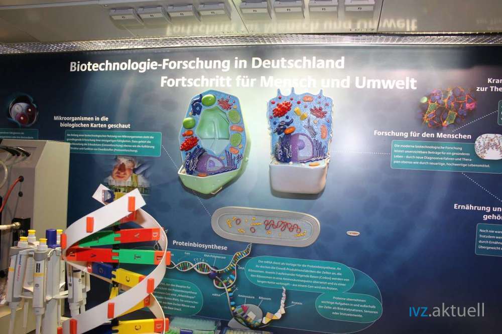 Biotechnologie_2012_7